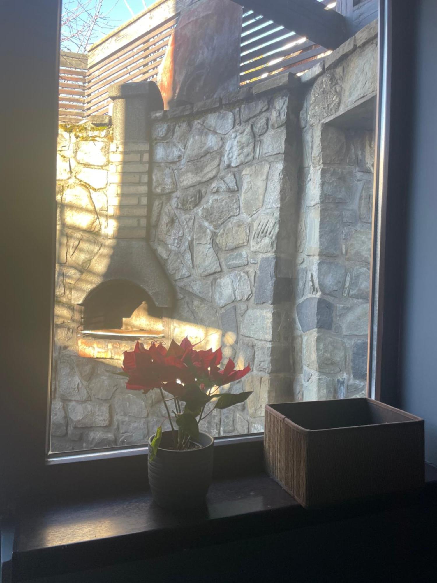 Casuta De Piatra Villa Buşteni Exteriör bild